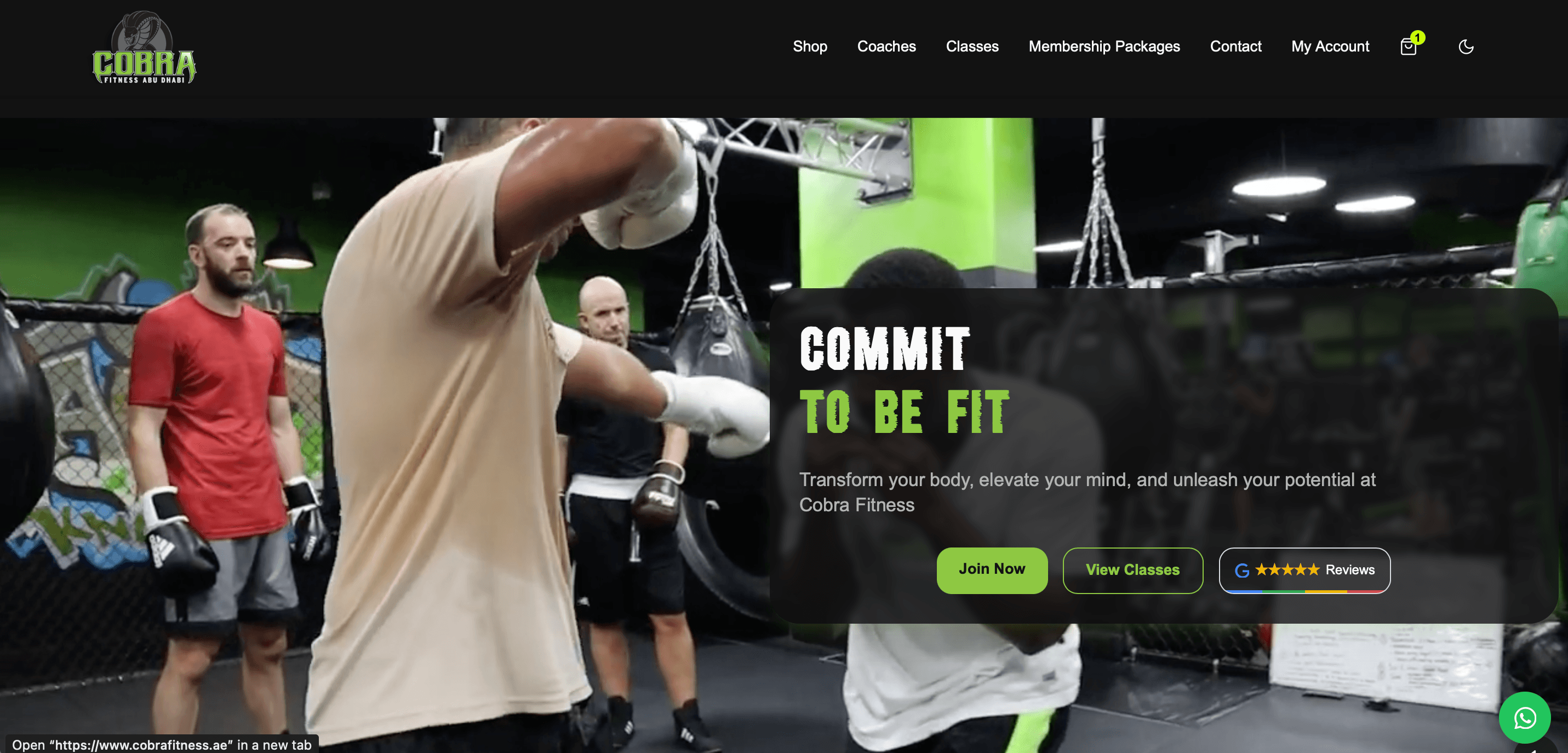 Cobra Fitness AE