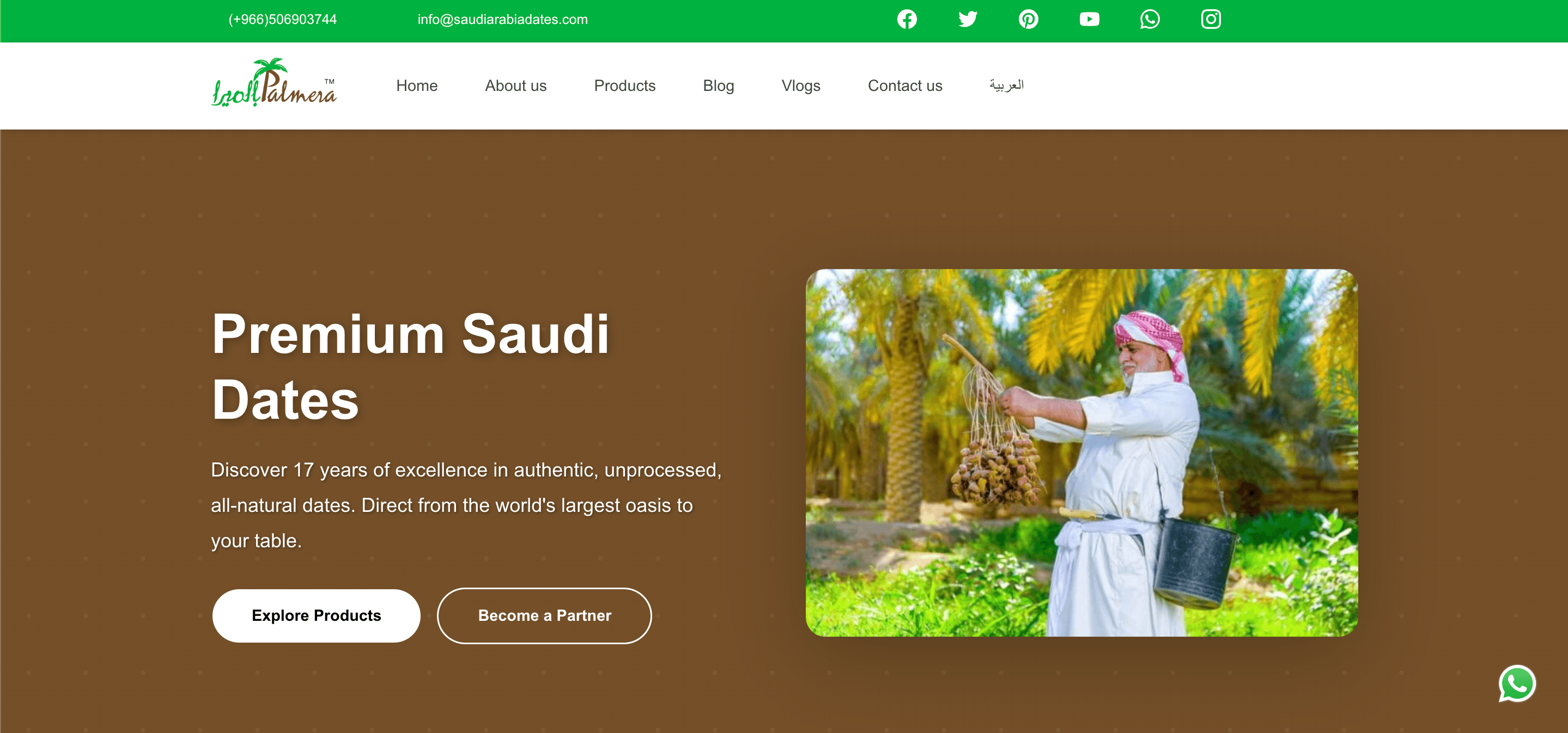 Saudi Palmera website project